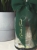 photo-output (88).JPEG